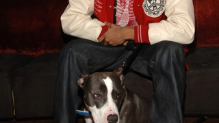 Chris Brown Attempts To Rescue His Image By Rescuing Animals